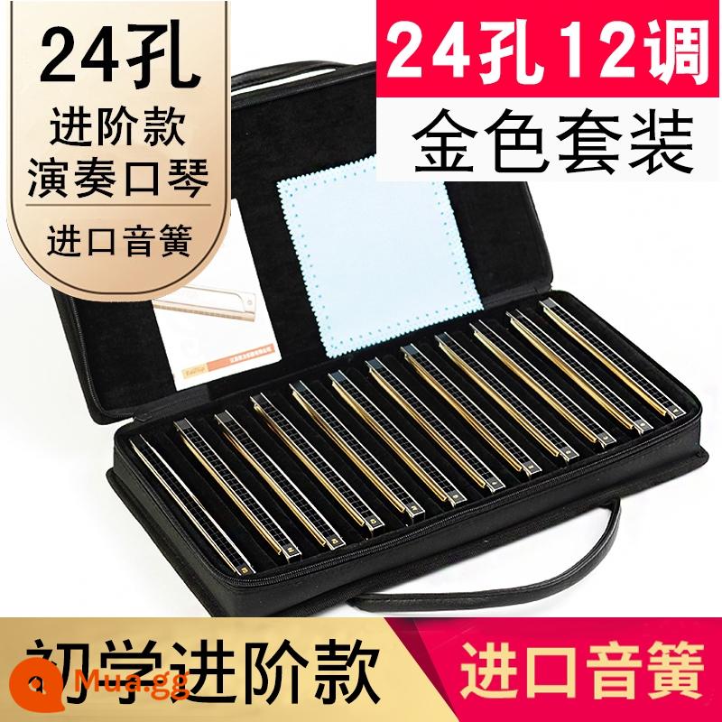 Easttop Dongfang Ding 24 lỗ đa âm mới T2403 harmonica drop #abcdefg cấp độ biểu diễn chuyên nghiệp cho người mới bắt đầu - Bộ 24 lỗ 12 tông vàng mới