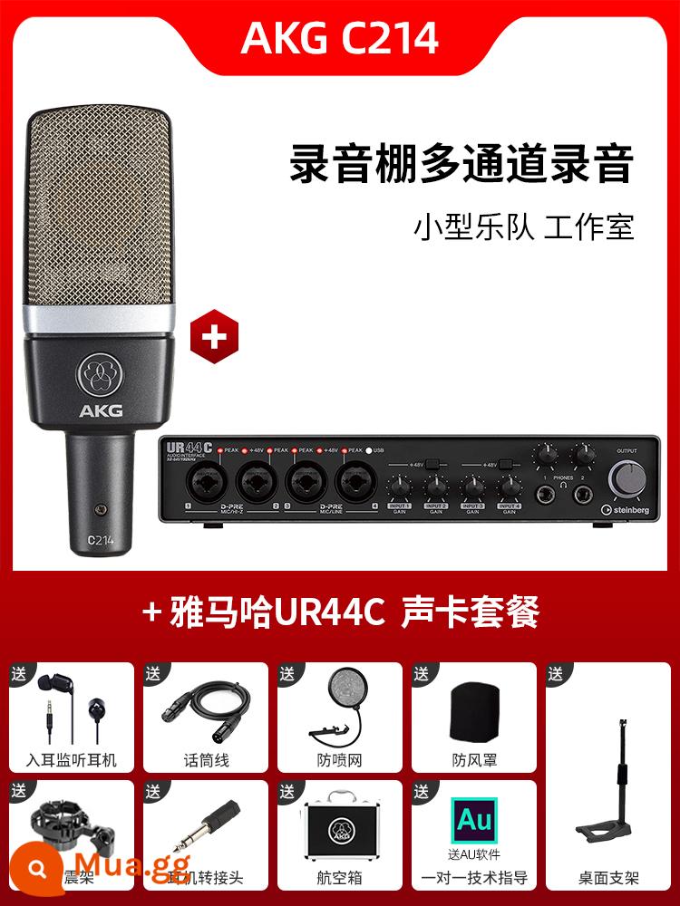 Micro điện dung AKG C214 chuyên nghiệp lớn màng thu âm trực tiếp K bài hát micro ghi âm thanh nhạc cụ ghi âm - Bộ C214 + UR44C