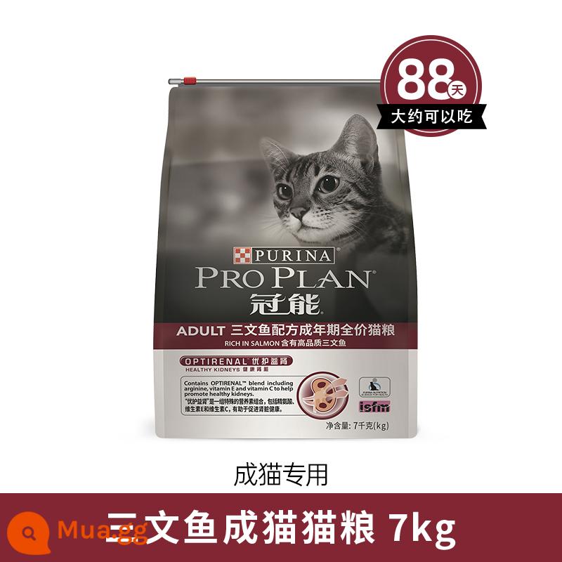 Thức ăn cho mèo Guanneng thức ăn cho mèo trưởng thành thức ăn cho mèo cá hồi thịt cá mèo xanh thức ăn cho mèo bảo vệ thận ngắn đa năng tiếng Anh thức ăn cho mèo bán chạy 1.2kg/7kg - Thức ăn cho mèo trưởng thành cá hồi 7kg