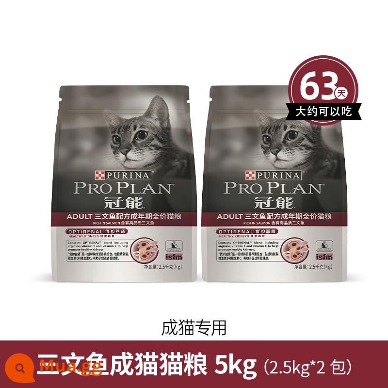 Thức ăn cho mèo Guanneng thức ăn cho mèo trưởng thành thức ăn cho mèo cá hồi thịt cá mèo xanh thức ăn cho mèo bảo vệ thận ngắn đa năng tiếng Anh thức ăn cho mèo bán chạy 1.2kg/7kg - Thức ăn cho mèo trưởng thành cá hồi 5kg