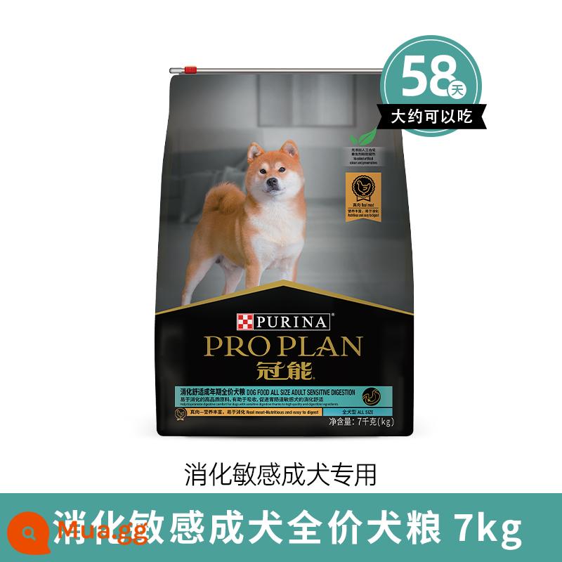 Thức ăn cho chó Guanneng cho chó nhỏ kén ăn lông đẹp chó trưởng thành bichon corgi thức ăn cho chó Teddy Special Dog Food 1.6kg/7kg - Thức ăn cho chó công thức tiêu hóa nhạy cảm 7kg