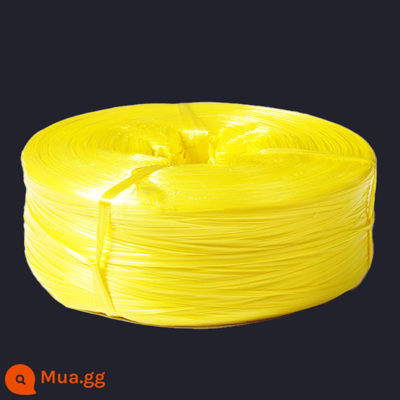 Dây nylon đóng gói dây nhựa dây ràng buộc dây ràng buộc chịu mài mòn bọc túi dây vật liệu mới toàn bộ gói dây ràng buộc - [Vàng 2cm] Đĩa 5 cân (chất liệu mới cao cấp)