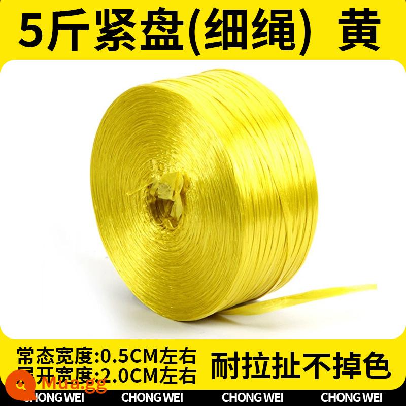 Dây nylon đóng gói dây nhựa dây ràng buộc dây ràng buộc chịu mài mòn bọc túi dây vật liệu mới toàn bộ gói dây ràng buộc - [Vàng 2cm] Đĩa 5 cân