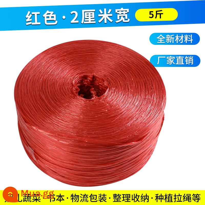 Dây ràng buộc bằng nhựa 5 catties đóng gói dây nylon cỏ bóng dây ràng buộc dây buộc dây trắng niêm phong nhà máy bán hàng trực tiếp - Chất liệu mới màu đỏ, rộng 2cm và nặng 5kg