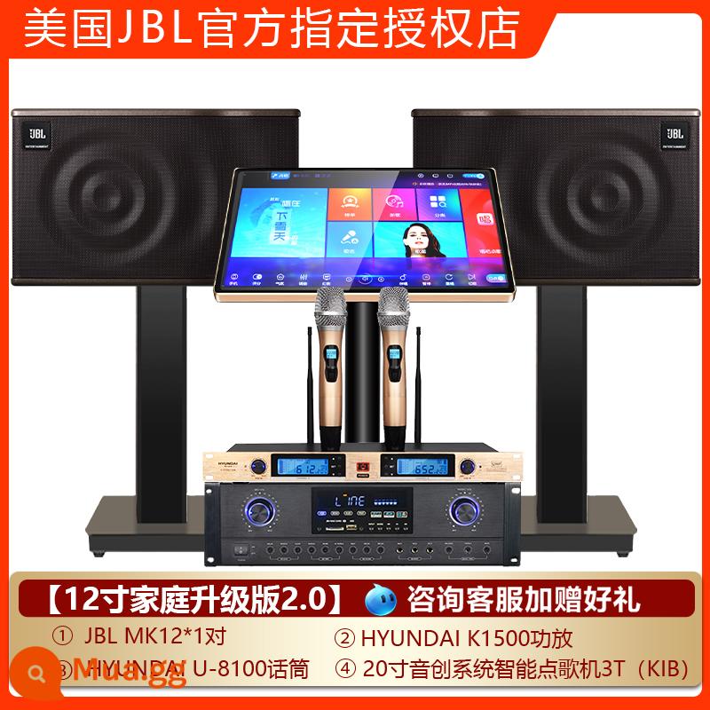 JBL Family KTV Audio Set Kara OK Machine Thiết bị đầy đủ K Song Dian Song Cinema Professional Diễn giả hát Hệ thống phòng khách hát K Sing - [Nâng cấp nhà 12 inch phiên bản 2.0] (xử lý hiệu ứng DSP tích hợp)