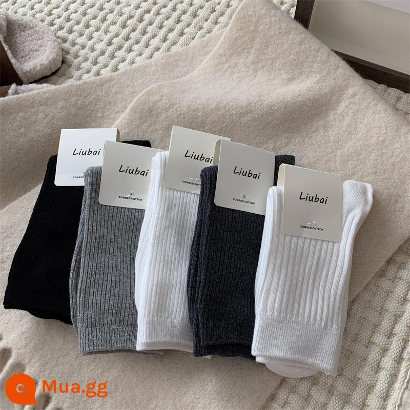 Tất Xám Nữ Đến Giữa Bắp Chân Tất Thu Đông Cotton Nguyên Chất Ins Hợp Thời Trang Dày Ấm Áp Thể Thao Trắng Mùa Đông Dài bong Bóng Tất - Dải mỏng màu đen - dải mỏng màu xám nhạt - dải mỏng màu trắng - dải mỏng màu xám đậm - sọc trắng rộng