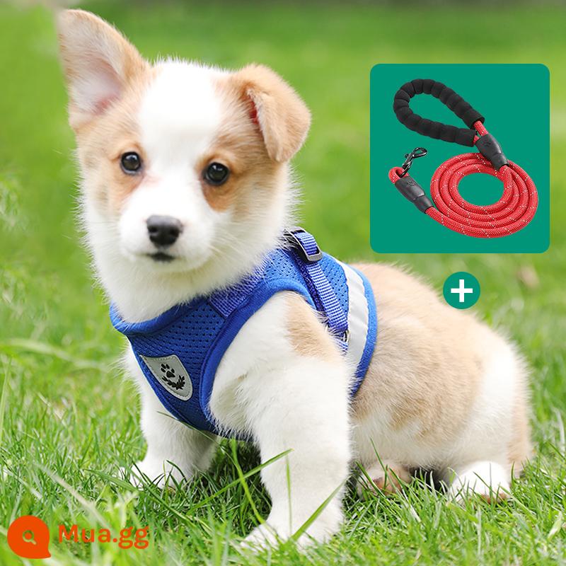 Áo vest loại dây xích chó nhỏ ngực chó túi đựng bé Teddy Corgi chó con chó con dây xích chó đi dạo dây ngực tàu sân bay - Dây cầm tay phản quang màu xanh + 1,5 mét