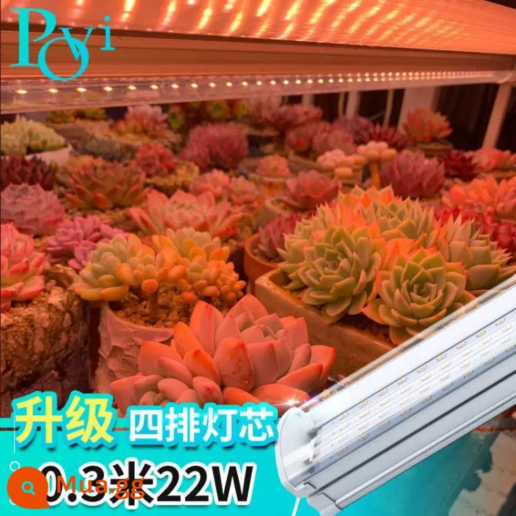 Peryu mọng nước lấp đầy ánh sáng màu quang phổ đầy đủ led nhà hoa trong nhà chống học việc cây giả đèn tăng trưởng mặt trời - T20 bốn hàng bấc [30CM-22W]