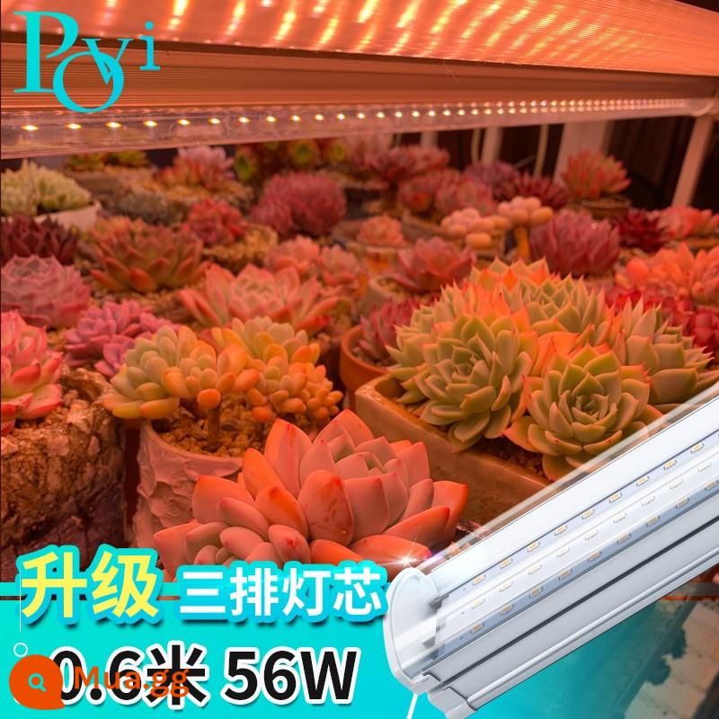 Peryu mọng nước lấp đầy ánh sáng màu quang phổ đầy đủ led nhà hoa trong nhà chống học việc cây giả đèn tăng trưởng mặt trời - T20 ba hàng bấc [60CM-56W]