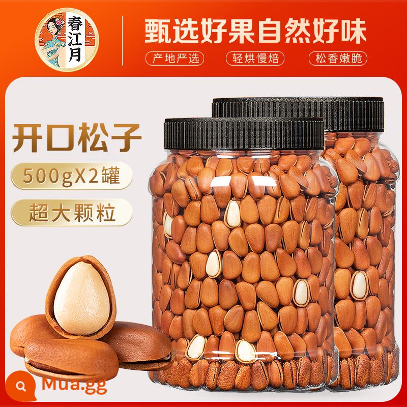 2022 hạt thông Đông Bắc mới 500g hạt mở miệng và trái cây sấy khô hạt cực lớn tươi bán buôn đồ ăn nhẹ thông đỏ - [Lon lớn] Hạt cực lớn 2 catties (lon 500gX2) [Kích thước hạt: khoảng 950 hạt mỗi catties]