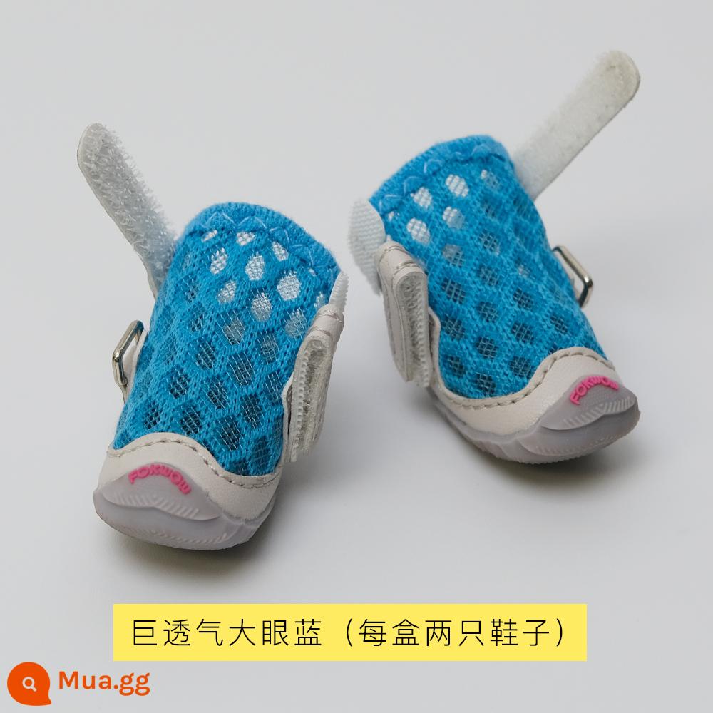 Trong giày thấp hơn Fokwow Dog Shoes, con chó nhỏ Teddy Biebeli mềm chống dưới đáy - Big Eye Blue (rất thoáng khí, được Maruma khuyên dùng)