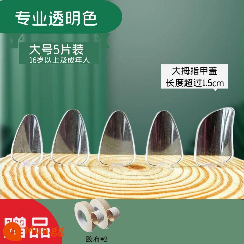 Người lớn và trẻ em trình độ đầu vào pipa nail kỳ thi chứng chỉ chuyên nghiệp chơi áo giáp celluloid trong suốt màu đồi mồi người mới bắt đầu kích thước trung bình - Băng keo trong suốt khổ lớn + 2 cuộn chuyên nghiệp