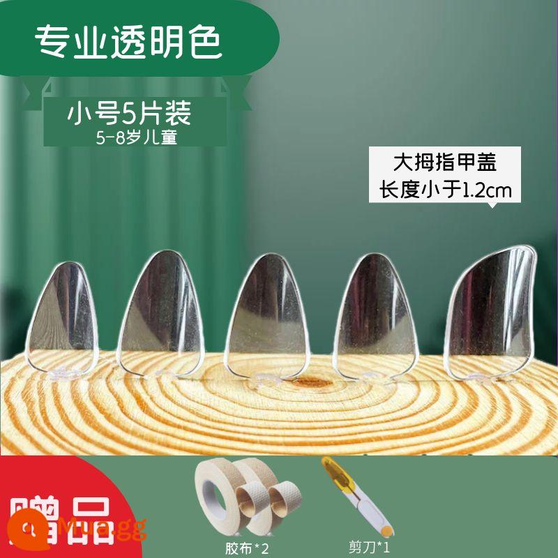 Người lớn và trẻ em trình độ đầu vào pipa nail kỳ thi chứng chỉ chuyên nghiệp chơi áo giáp celluloid trong suốt màu đồi mồi người mới bắt đầu kích thước trung bình - 2 cặp kèn trong suốt chuyên nghiệp + 2 cuộn băng dính + kéo