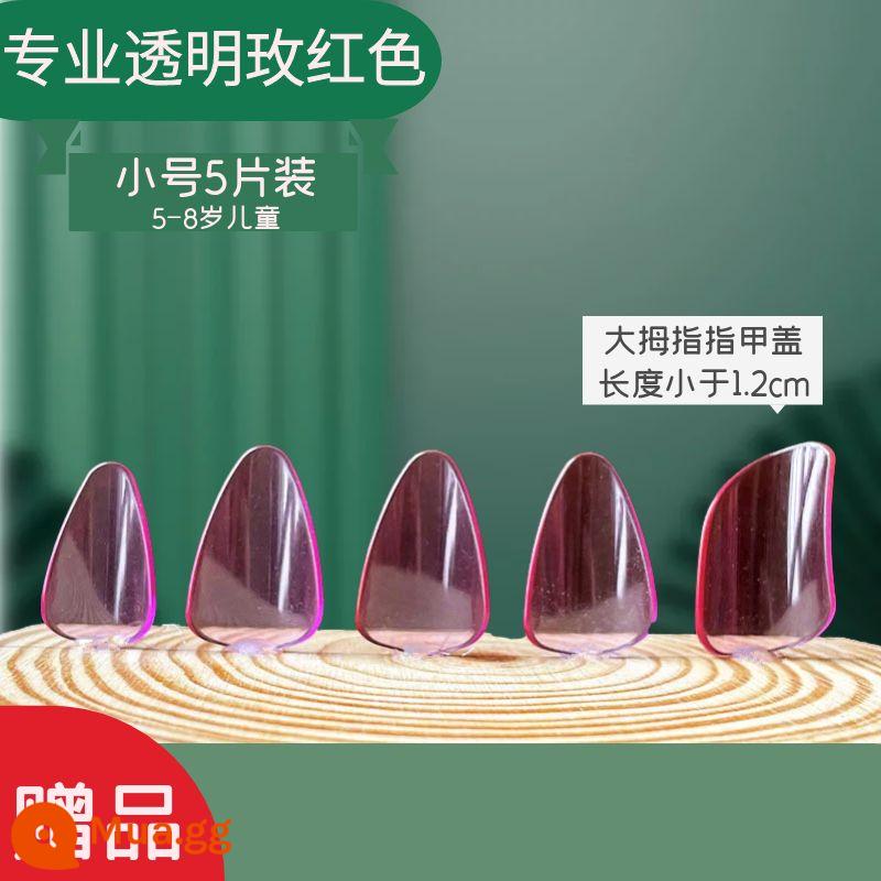 Người lớn và trẻ em trình độ đầu vào pipa nail kỳ thi chứng chỉ chuyên nghiệp chơi áo giáp celluloid trong suốt màu đồi mồi người mới bắt đầu kích thước trung bình - Kèn Trumpet đỏ hồng chuyên nghiệp (2 đôi)