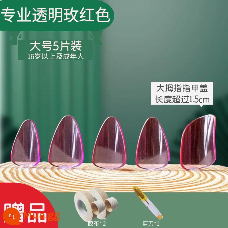 Người lớn và trẻ em trình độ đầu vào pipa nail kỳ thi chứng chỉ chuyên nghiệp chơi áo giáp celluloid trong suốt màu đồi mồi người mới bắt đầu kích thước trung bình - Hoa hồng đỏ chuyên nghiệp size lớn 2 cặp + 2 cuộn băng dính + kéo