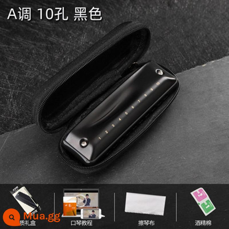 Gadri Ten -hole Blue Tuning Harmonica Junior Scholar Blue Performents Hiệu suất lớp C Tone 10 -hole Paddy Piano Ninja - Ninja A