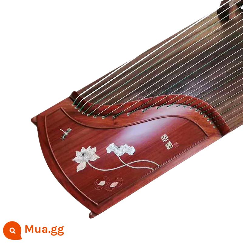 Gỗ nguyên khối 163 guzheng cửa hàng đàn piano khuyến nghị người mới bắt đầu kiểm tra đầu vào giảng dạy cấp độ mười chuyên nghiệp chơi đàn tam thập lục cho trẻ em người lớn - Fulianbingdi (bộ đầy đủ + ghế đẩu)