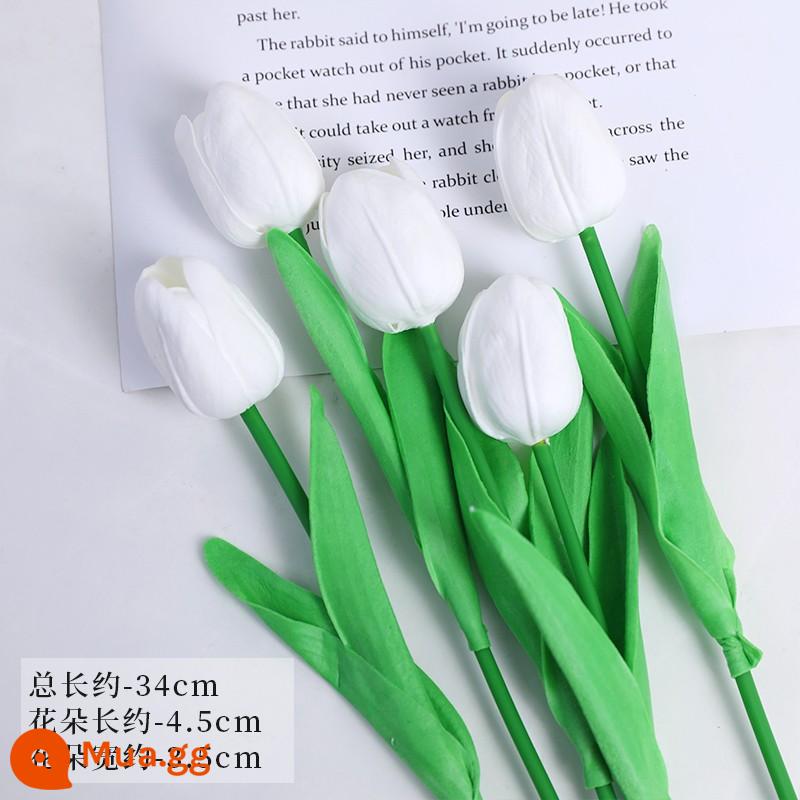 38 Ngày Phụ Nữ Tulip Mô Phỏng Hoa Hoa Hồng Trang Trí Bánh Cắm Ruy Băng Lưới Xung Quanh Lễ Hội Nữ Thần Ngày 8 Tháng 3 - Màu trắng tinh khiết—5 bông hoa tulip mô phỏng