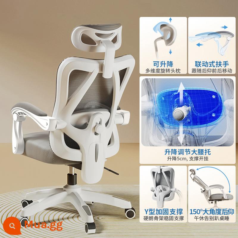 Ghế Ergonomic Ghế Máy Tính Văn Phòng Tại Nhà Ghế Thoải Mái Ít Vận Động Sinh Viên Thể Thao Điện Tử Ghế Phòng Ngủ Ghế Ngả Ghế - Model thoải mái [khung trắng xám] hỗ trợ thắt lưng có thể điều chỉnh/ngả/không có chỗ để chân