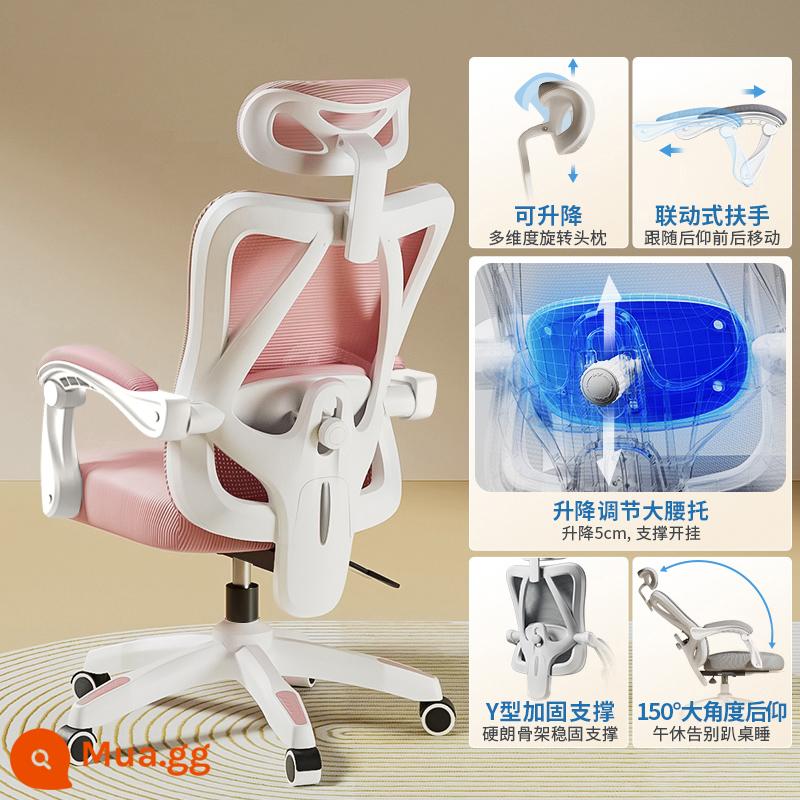 Ghế Ergonomic Ghế Máy Tính Văn Phòng Tại Nhà Ghế Thoải Mái Ít Vận Động Sinh Viên Thể Thao Điện Tử Ghế Phòng Ngủ Ghế Ngả Ghế - Model thoải mái [khung trắng hồng lưới] hỗ trợ thắt lưng có thể điều chỉnh/ngả/không có chỗ để chân