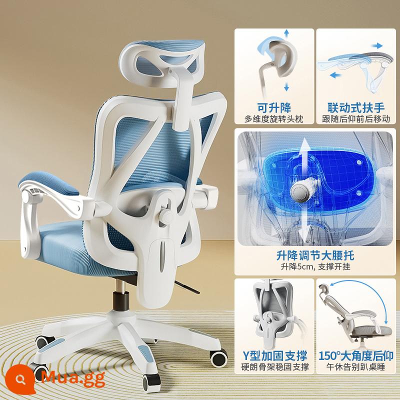 Ghế Ergonomic Ghế Máy Tính Văn Phòng Tại Nhà Ghế Thoải Mái Ít Vận Động Sinh Viên Thể Thao Điện Tử Ghế Phòng Ngủ Ghế Ngả Ghế - Model thoải mái [khung trắng lưới xanh] hỗ trợ thắt lưng có thể điều chỉnh/ngả/không có chỗ để chân