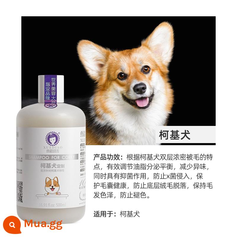 Chó Chồn Thú Cưng Đặc Biệt Cho Thú Cưng Sữa Tắm Bông Bichon Pomeranian Hưu Bạch Kim Đặc Biệt Tắm Kháng Khuẩn Chất Lỏng Tiếp Liệu - [500ml cho Corgis] Gói quà