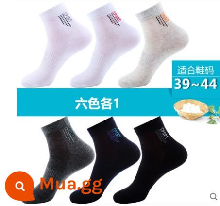 Tất Langsha nam cotton nguyên chất đến giữa bắp chân thể thao nam dày dặn mùa thu đông cotton thấm hút mồ hôi và khử mùi mùa hè mỏng - A-sáu màu mỗi