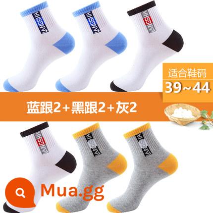 Tất Langsha nam cotton nguyên chất đến giữa bắp chân thể thao nam dày dặn mùa thu đông cotton thấm hút mồ hôi và khử mùi mùa hè mỏng - D-Xám nhạt 2 trắng xanh 2 trắng đen 2