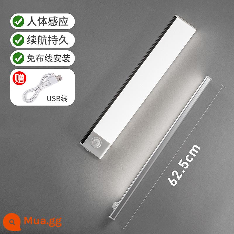 Đèn LED cảm ứng quét tay người thông minh tổng thể đèn tủ có pin sạc loại tủ sách ký túc xá ?Miễn phí lắp đặt gầm xe - Ánh sáng tự nhiên 62,5cm [kiểu sạc + cảm ứng]