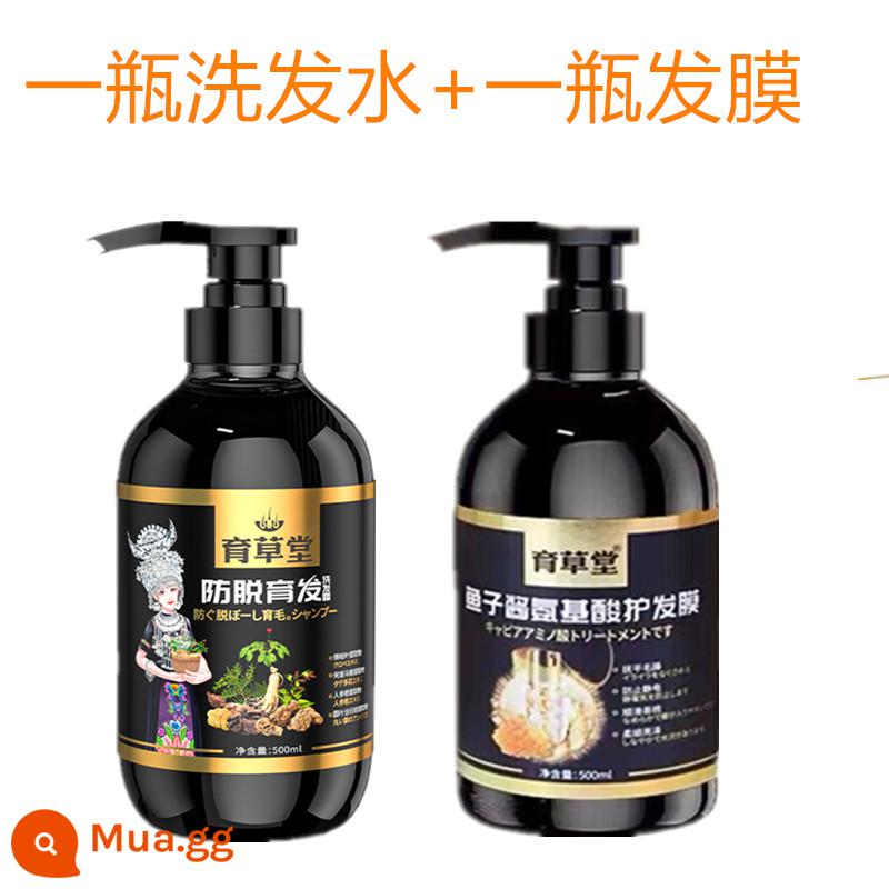 [Xác nhận của Zhu Haimei] Dầu gội chống rụng tóc Yucaotang, Polygonum Multiflorum Hair Growth chính thức Cửa hàng hàng đầu đích thực - 1 chai dầu gội + 1 chai mặt nạ tóc axit amin