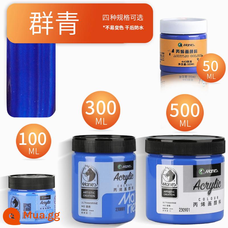 Sơn acrylic thương hiệu Marley 500ml chai lớn trắng đen 300 vàng sơn tường đặc biệt chống nước pha loãng sơn thuốc nhuộm tranh tường vẽ tay màu không phai graffiti kem chống nắng trẻ em tự làm - siêu biển/mới