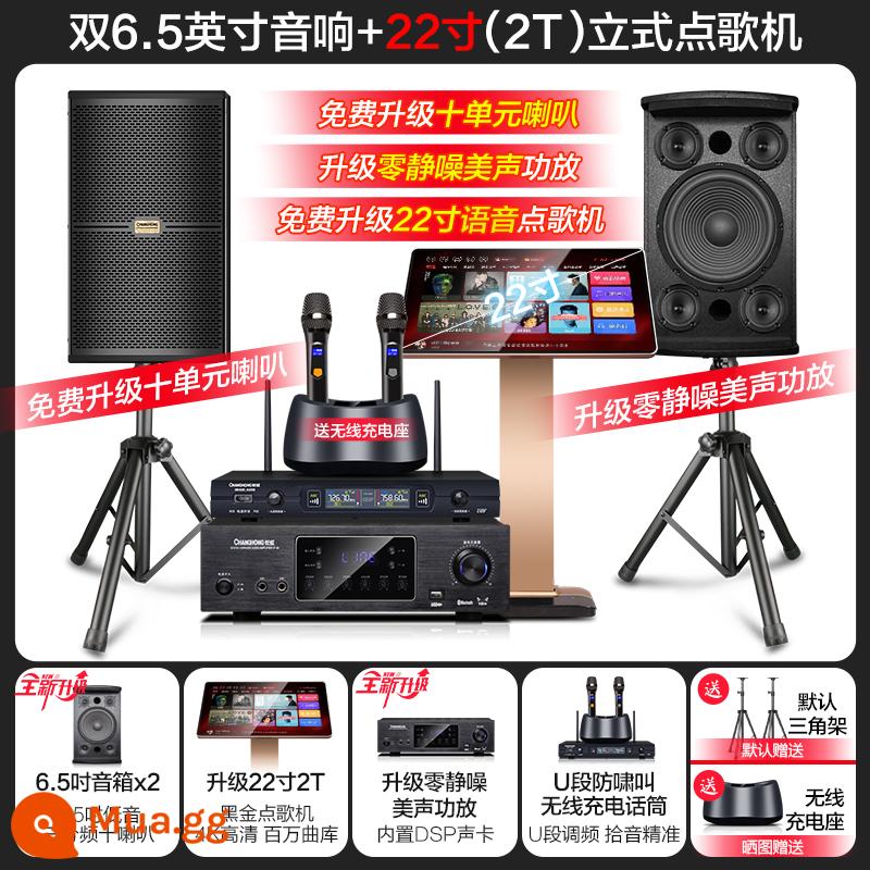 Changhong K10 House KTV Audio Đặt một bộ đầy đủ các bộ khuếch đại năng lượng nhà bài hát Karaokek Song - [4] Bộ 10 loa 3 chiều 6,5 inch + máy karaoke 2T 22 inch + micro sạc