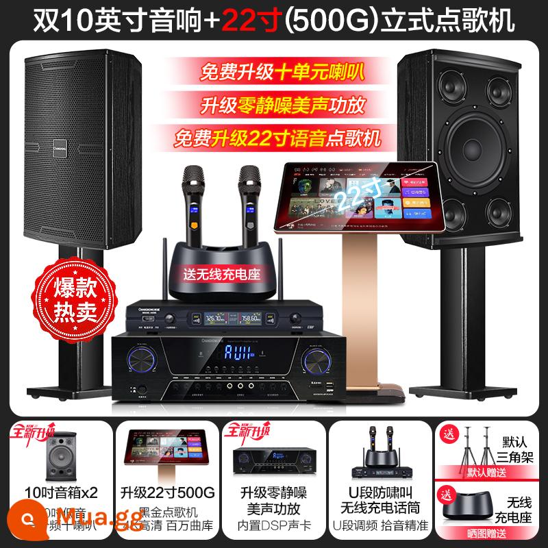 Changhong K10 House KTV Audio Đặt một bộ đầy đủ các bộ khuếch đại năng lượng nhà bài hát Karaokek Song - [9] Dual 10 inch ba chiều 10 chiếc + máy karaoke 22 inch 500G + micro hát có thể sạc lại