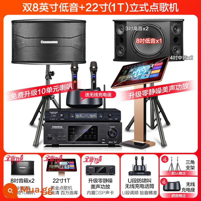 Changhong K9 nhà KTV âm thanh bộ hoàn chỉnh phòng khách nhà hát máy karaoke k bài hát karaoke okAll - Loa kép 8 inch ba chiều 10 loa + máy karaoke 22 inch 1T + micro không dây có thể sạc lại