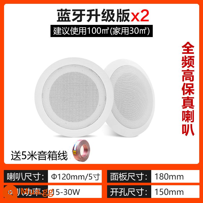 Trần Tmall Quốc Xiaodu Xiaoai Loa Bluetooth Không Dây WIFI Giọng Nói Thông Minh Điều Khiển Giọng Nói Loa Nhà Treo Trần - Loa Bluetooth DS607 + 1 subbox không hỗ trợ điều khiển bằng giọng nói