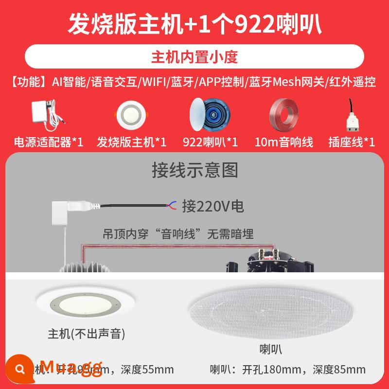 Trần Tmall Quốc Xiaodu Xiaoai Loa Bluetooth Không Dây WIFI Giọng Nói Thông Minh Điều Khiển Giọng Nói Loa Nhà Treo Trần - Người dẫn chương trình cấp độ đam mê Xiaodu +1 922