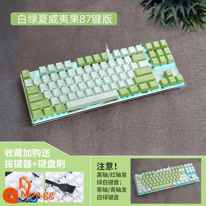 Bàn Phím Cơ Dahl Wrangler EK815 Game Có Dây Không Dây Bluetooth Xanh Trà Đen Đỏ Trục 87 Phím 108 Phím - Phiên bản Blu-ray 87 Key Fruit Green