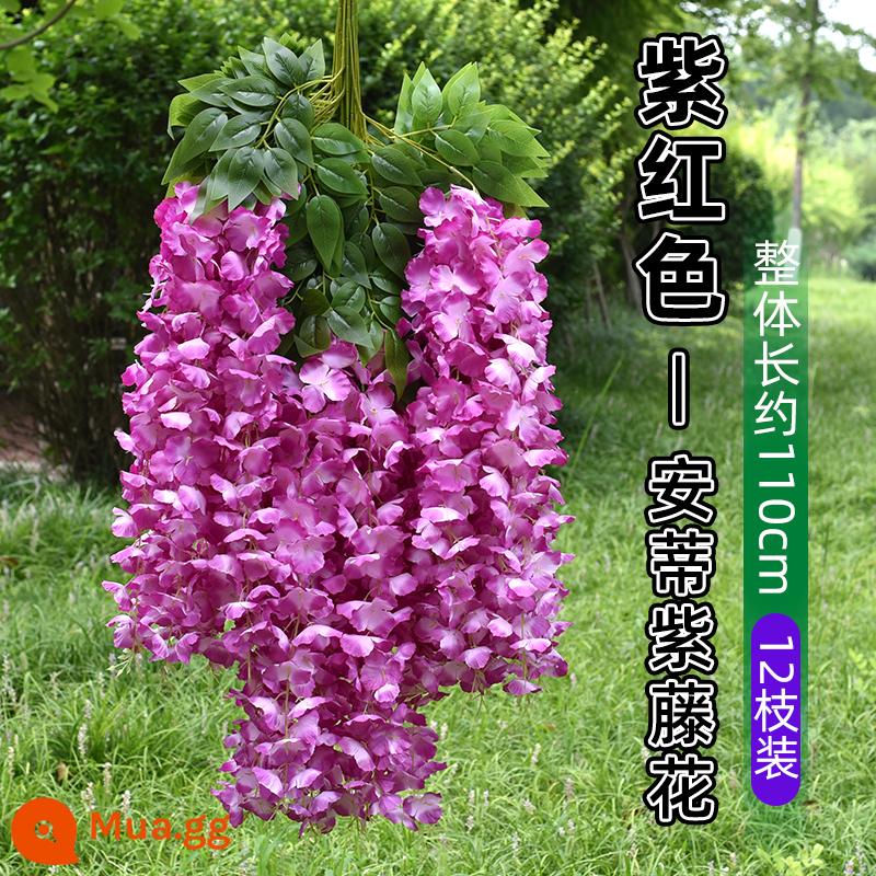 Mô phỏng Wisteria hoa hoa giả tím treo trần hoa cây nho trong nhà trang trí đám cưới mây nhựa dải hoa cây nho - Wisteria cổ [siêu đậm đặc] màu tím (6 miếng)