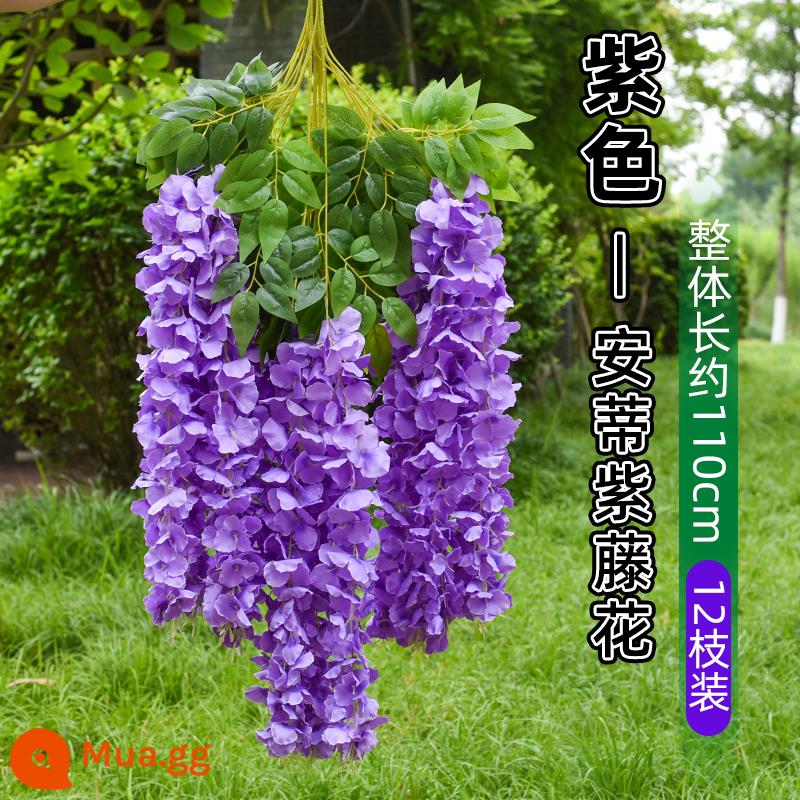 Mô phỏng Wisteria hoa hoa giả tím treo trần hoa cây nho trong nhà trang trí đám cưới mây nhựa dải hoa cây nho - Wisteria cổ [siêu đậm đặc] màu tím (6 miếng)