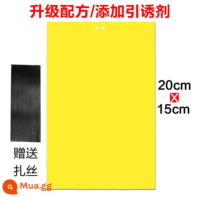 Bảng dính hai mặt bảng bẫy côn trùng màu vàng nhỏ thu hút côn trùng bay trái cây kim ong bảng dính bảng màu xanh bọ trĩ giấy dính - [Trang chủ/Trồng hoa/Trồng rau/Nên dùng] 20 tờ 2 mặt 20.15 màu vàng