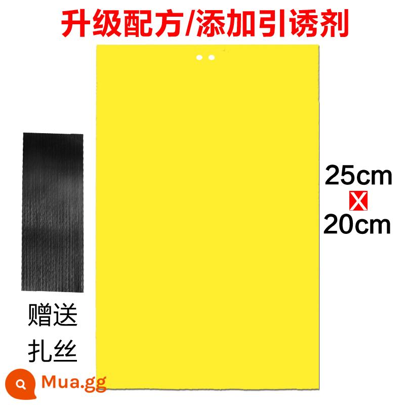 Bảng dính hai mặt bảng bẫy côn trùng màu vàng nhỏ thu hút côn trùng bay trái cây kim ong bảng dính bảng màu xanh bọ trĩ giấy dính - (Đặc biệt sale size lớn) 20 tờ bảng vàng 2 mặt 25X20 (nhà kính gia đình, vườn cây ăn quả, vườn chè)