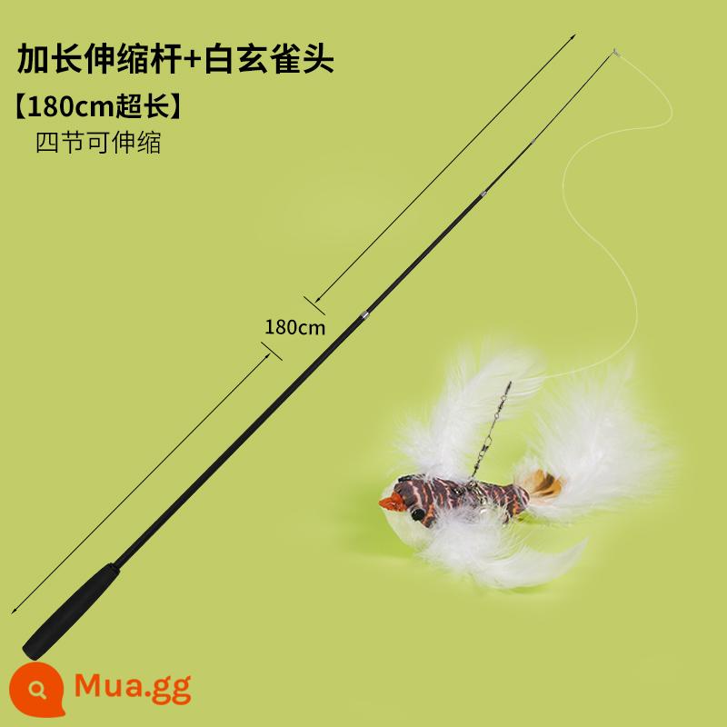 Trêu chọc Cat Stick Rod dài có thể có xu hướng rút lại que câu siêu dài 1,8m, cắn lông, chuông, đồ chơi mèo - Đũa trêu mèo dạng ống lồng dài 1,8m + chim đen trắng