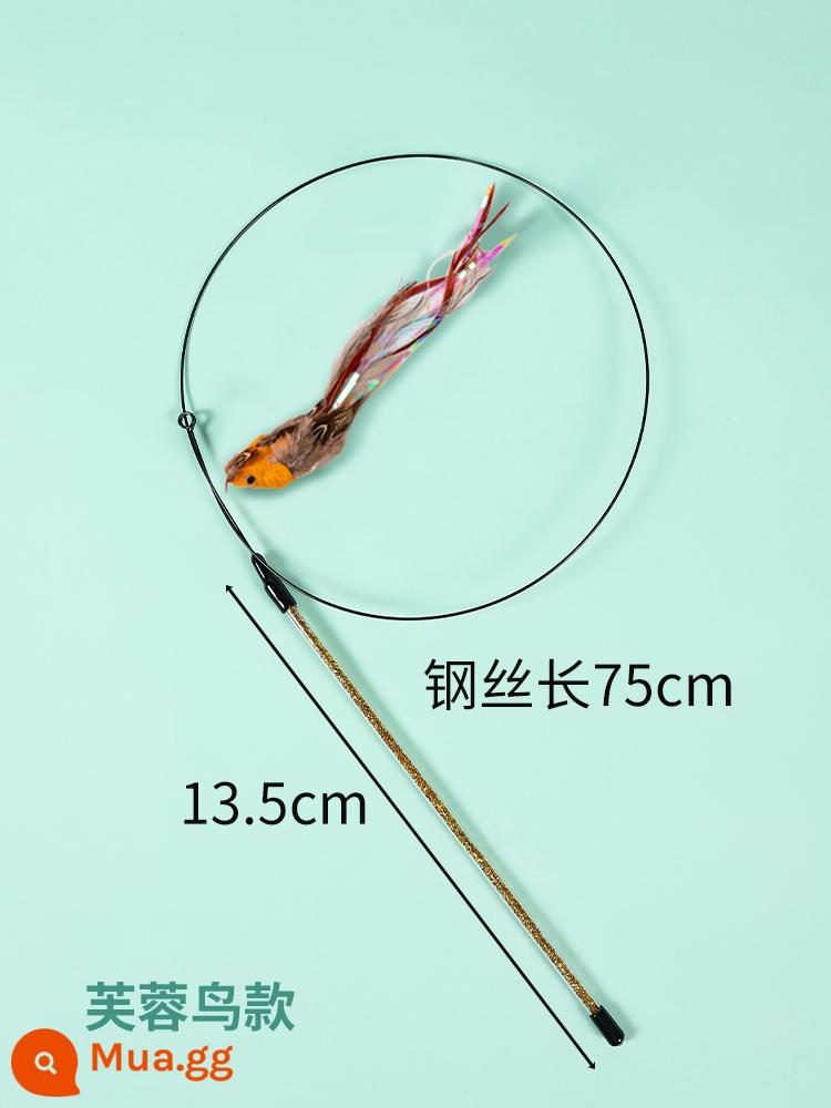 Trêu chọc Cat Stick Rod dài có thể có xu hướng rút lại que câu siêu dài 1,8m, cắn lông, chuông, đồ chơi mèo - Mô hình dây mở rộng [Mô hình chim dâm bụt]