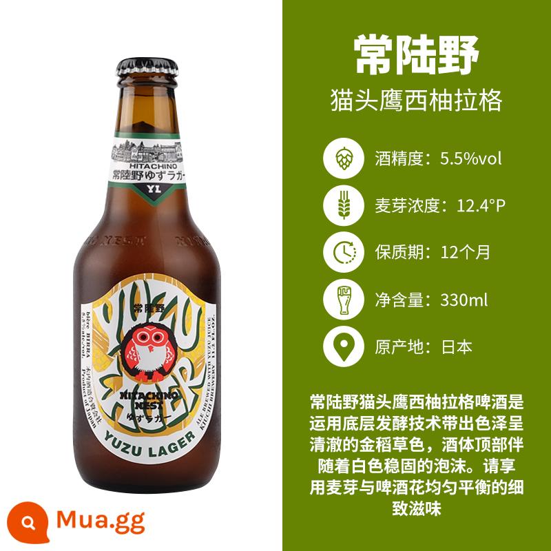 [4 chai miễn phí vận chuyển] 10 loại bia thủ công nhất định phải uống Roosevelt No. 10 Duchess White Bear Lost Coast - Bia bưởi Hitachino