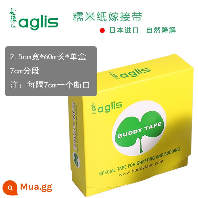 Nhật Bản nhập khẩu màng ghép bánh tráng aglis tự dính không thể tháo rời có thể phân hủy đai ghép hoa hồng vàng - [Đoạn 7 cm] Bản gốc rộng 2,5 cm * dài 60 mét (gửi lưỡi dao nhập khẩu)