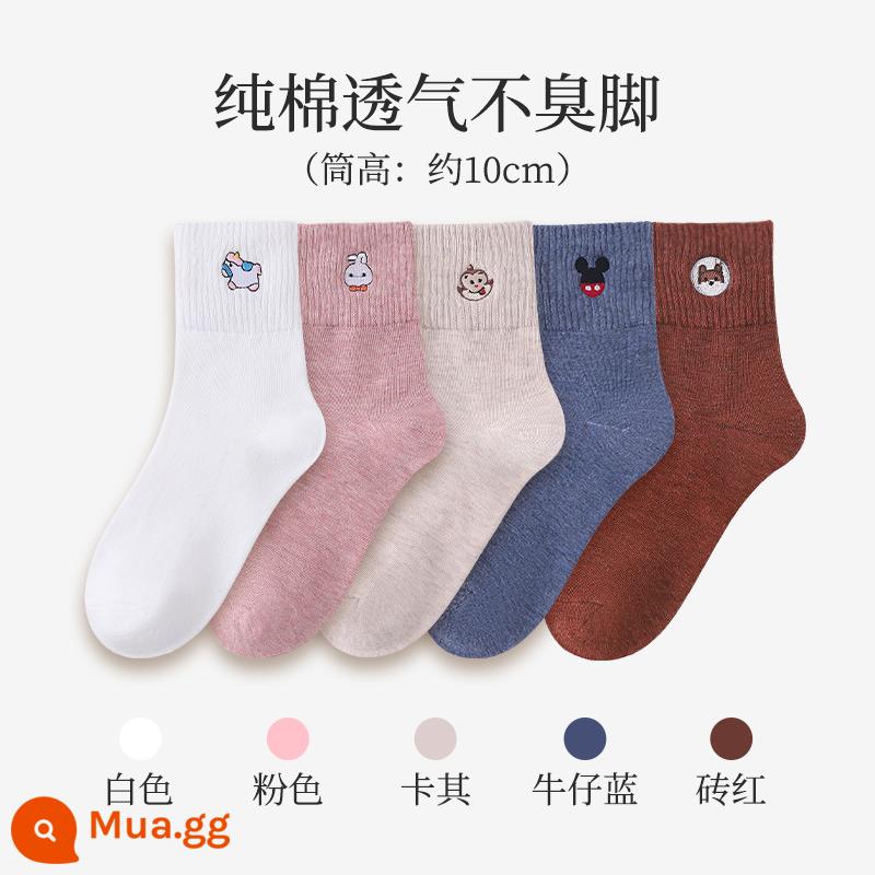 Vớ nữ ống dài xuân thu hè cotton mỏng thấm hút mồ hôi ống dài Nhật Bản vớ in triều mẫu thu đông - 4 màu hỗn hợp (gói 5 đôi)