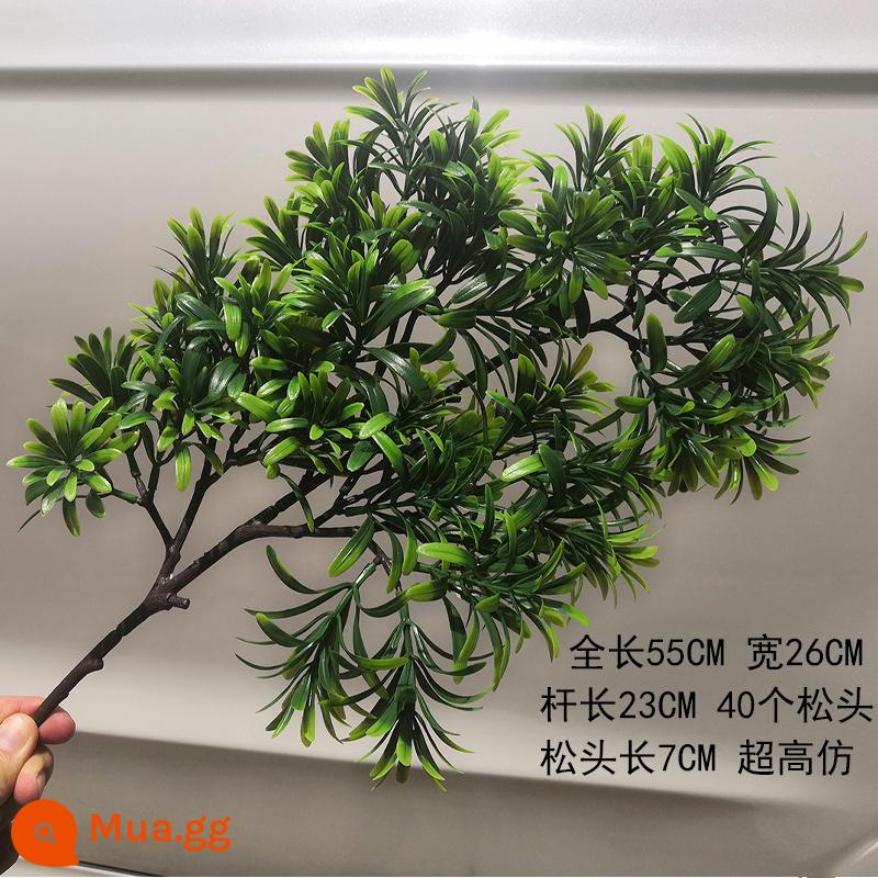 Mô phỏng lá thông đón cành thông Luo Hansong hoa nhựa thông bách cảnh cành giả làm đẹp lá thông lá thông - Podocarpus kiểu cũ lớn (được tặng 1 nếu bạn mua 10 cái trở lên)