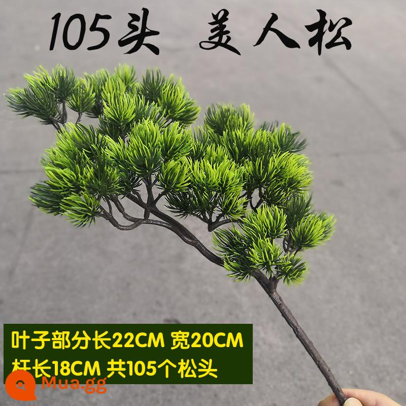 Mô phỏng lá thông đón cành thông Luo Hansong hoa nhựa thông bách cảnh cành giả làm đẹp lá thông lá thông - Little Beauty Pine (tặng 1 nếu mua 10 cái trở lên)