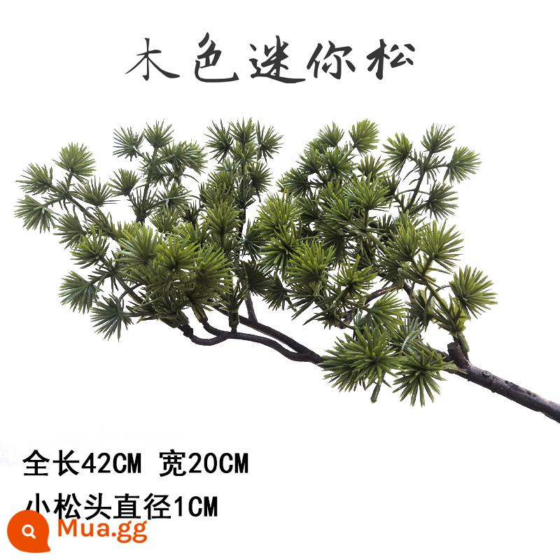 Mô phỏng lá thông đón cành thông Luo Hansong hoa nhựa thông bách cảnh cành giả làm đẹp lá thông lá thông - Mini Pine Green (tặng 1 nếu mua 10 cây trở lên)