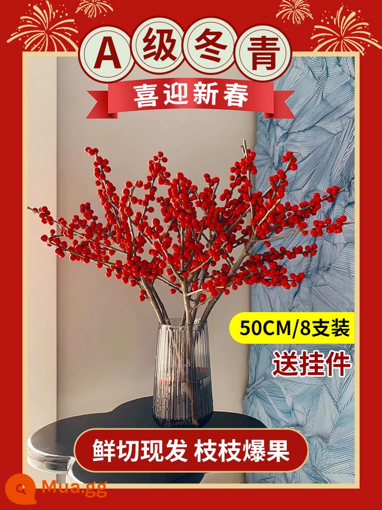 Inch Hoa Vàng Cây thủy canh Forsythia Cành khô Cắm hoa Phòng khách Cành tươi Thủy canh Hoa tươi cắt đêm giao thừa - Nhựa ruồi đỏ cao cấp loại A 50cm/8 miếng + mặt dây chuyền